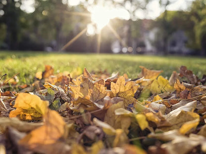 Gardena™ Lawn and Leaf Collector - Efficient Push Sweeper